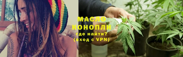 спиды Богородицк