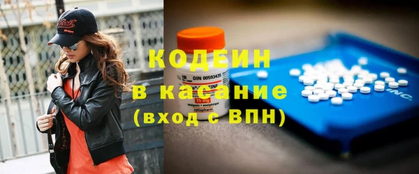 спиды Богородицк