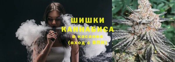 спиды Богородицк