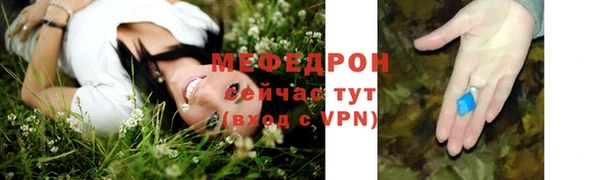 спиды Богородицк