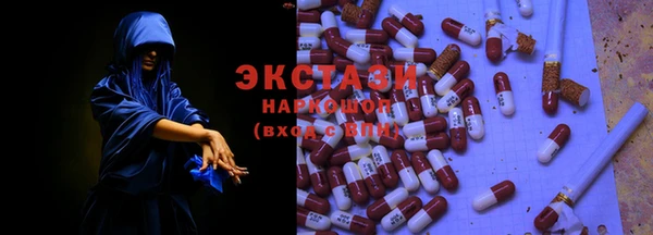 спиды Богородицк