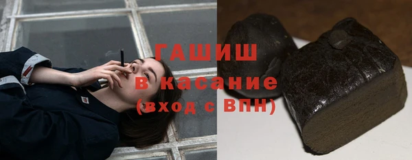 спиды Богородицк