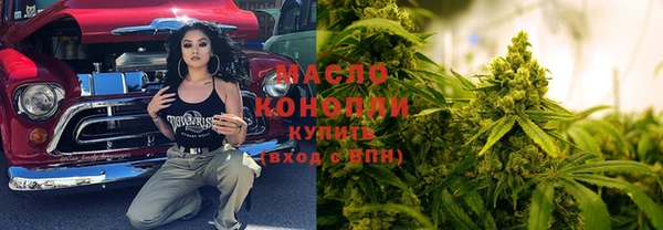 спиды Богородицк