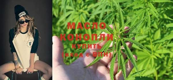 спиды Богородицк
