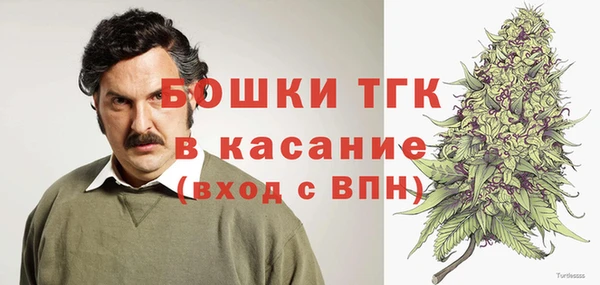 спиды Богородицк