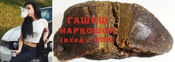 хмурый Бородино