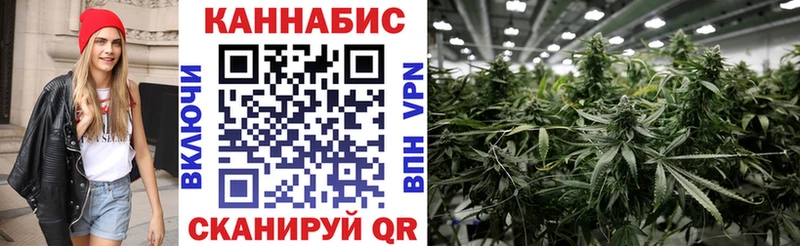 Бошки Шишки марихуана  Гусь-Хрустальный 